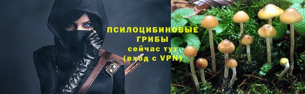 спиды Арсеньев