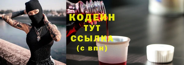 спиды Арсеньев