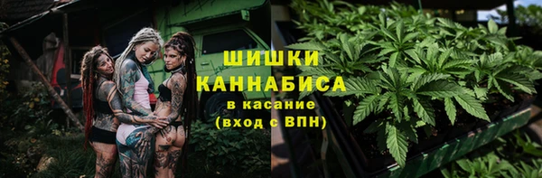 спиды Арсеньев